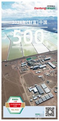 乐竞体育入选2024年《财富》中国500强