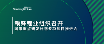 乐竞体育组织召开国家重点研发计划专项项目锂产业集聚区循环化升级集成技术及示范推进会